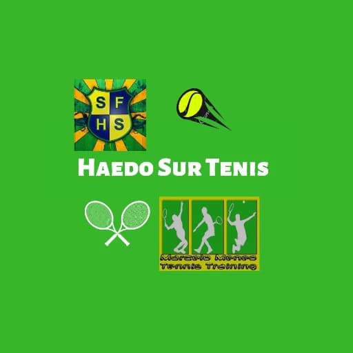 Haedo Sur Tenis logo